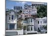 Houses, Wellington, North Island, New Zealand-Adam Woolfitt-Mounted Photographic Print