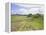 Housesteads, Hadrian's Wall, Northumberland, England, UK-Roy Rainford-Framed Premier Image Canvas