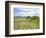 Housesteads, Hadrian's Wall, Northumberland, England, UK-Roy Rainford-Framed Photographic Print