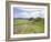 Housesteads, Hadrian's Wall, Northumberland, England, UK-Roy Rainford-Framed Photographic Print