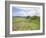 Housesteads, Hadrian's Wall, Northumberland, England, UK-Roy Rainford-Framed Photographic Print