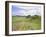 Housesteads, Hadrian's Wall, Northumberland, England, UK-Roy Rainford-Framed Photographic Print