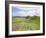 Housesteads, Hadrian's Wall, Northumberland, England, UK-Roy Rainford-Framed Photographic Print