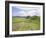 Housesteads, Hadrian's Wall, Northumberland, England, UK-Roy Rainford-Framed Photographic Print