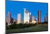 Houston Skyline at Night from Eleanor Tinsley Park, Texas, United States of America, North America-Kav Dadfar-Mounted Photographic Print