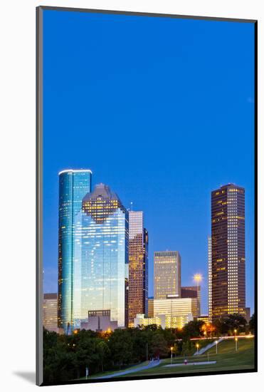 Houston Skyline at Night from Eleanor Tinsley Park, Texas, United States of America, North America-Kav Dadfar-Mounted Photographic Print