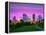 Houston Texas Modern Skyline at Sunset Twilight from Park Lawn-holbox-Framed Premier Image Canvas