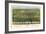 Houston, Texas - Panoramic Map-Lantern Press-Framed Art Print