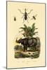 Hoverfly, 1833-39-null-Mounted Giclee Print