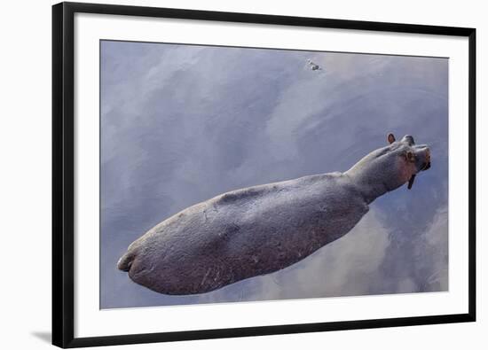 Hovering Hippo-Wink Gaines-Framed Art Print