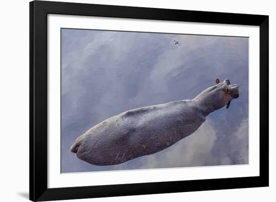 Hovering Hippo-Wink Gaines-Framed Art Print