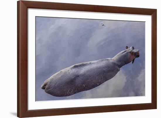 Hovering Hippo-Wink Gaines-Framed Art Print