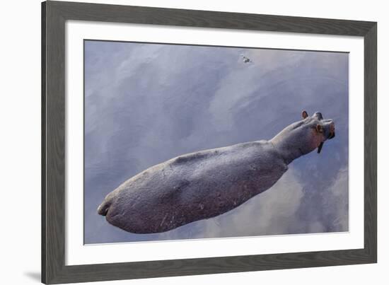 Hovering Hippo-Wink Gaines-Framed Art Print