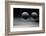 Hovering-Heidi Westum-Framed Photographic Print