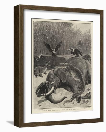 How are the Mighty Fallen!, a Scene on the Banks of the Limpopo River, South Africa-John Charlton-Framed Giclee Print