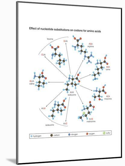 How Changes in One Nucleic Acid of a Triplet Lead to Different Amino Acids in the Protein-Encyclopaedia Britannica-Mounted Art Print