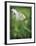 How Great-Michelle Wermuth-Framed Giclee Print