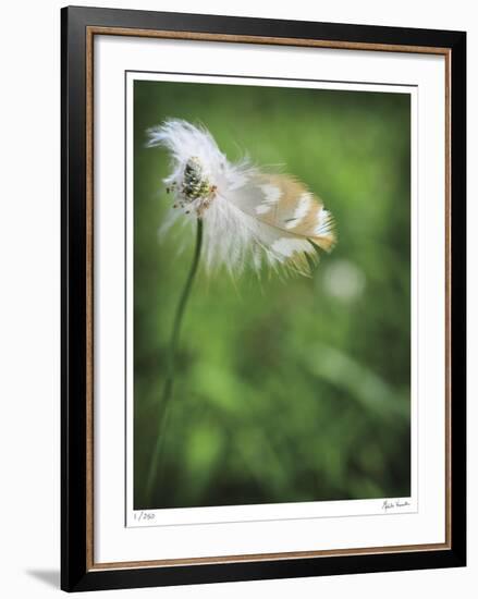 How Great-Michelle Wermuth-Framed Giclee Print