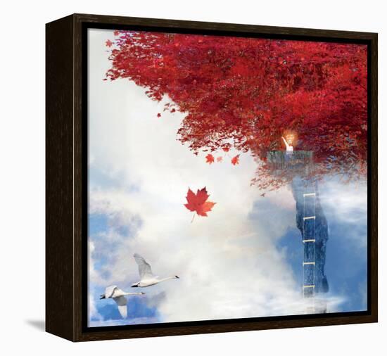 How High Can You Go?-Nancy Tillman-Framed Stretched Canvas