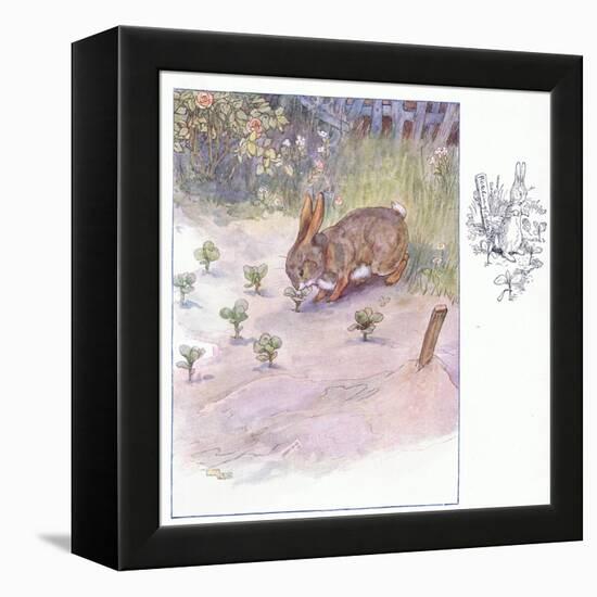 How Kind These Humans Are-Anne Anderson-Framed Premier Image Canvas