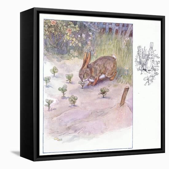 How Kind These Humans Are-Anne Anderson-Framed Premier Image Canvas