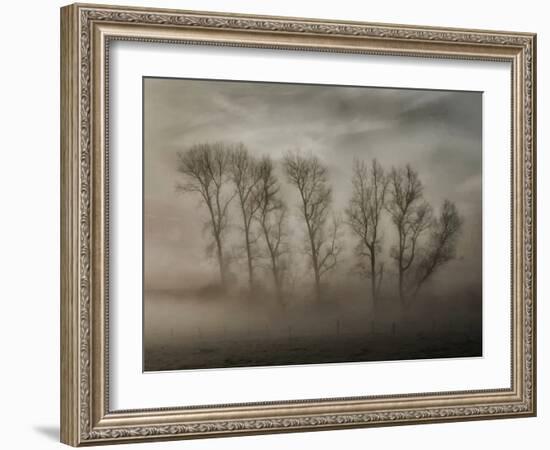 How Nature Hides the Wrinkles of Her Antiquity Under Morning Fog and Dew-Yvette Depaepe-Framed Photographic Print