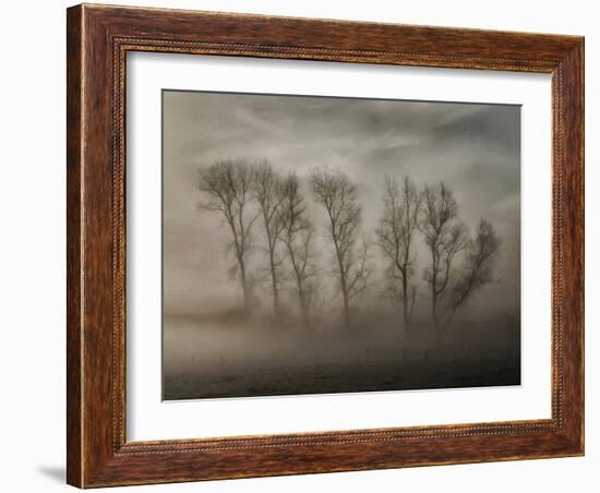 How Nature Hides the Wrinkles of Her Antiquity Under Morning Fog and Dew-Yvette Depaepe-Framed Photographic Print