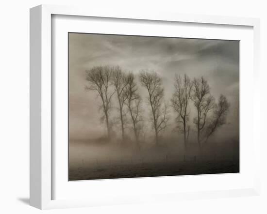 How Nature Hides the Wrinkles of Her Antiquity Under Morning Fog and Dew-Yvette Depaepe-Framed Photographic Print