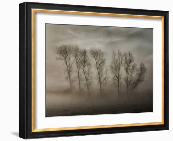 How Nature Hides the Wrinkles of Her Antiquity Under Morning Fog and Dew-Yvette Depaepe-Framed Photographic Print