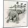 How the Elephant Crosses a River-W.H. Drake-Mounted Art Print