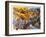 How the West Was Won-Bill Bell-Framed Giclee Print