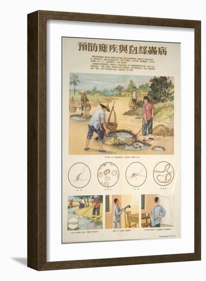 How to Prevent Mosquitoes from Growing-null-Framed Art Print