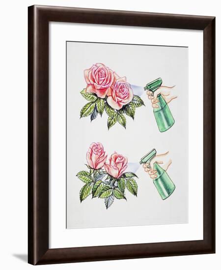 How to Spray Water or Pesticides on Flowers-null-Framed Giclee Print