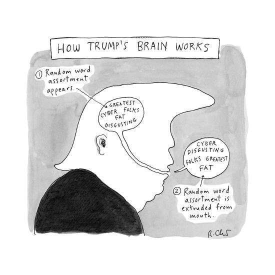 how-trump-s-brain-works-chart-explaining-the-function-of-trump-s-brain-new-yorker-cartoon_u-l-q12tdrb0.jpg