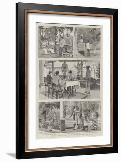 How We Spend Sunday on a Plantation in Java-null-Framed Giclee Print