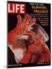 How You Can Survive Fallout, September 15, 1961-Ralph Morse-Mounted Photographic Print