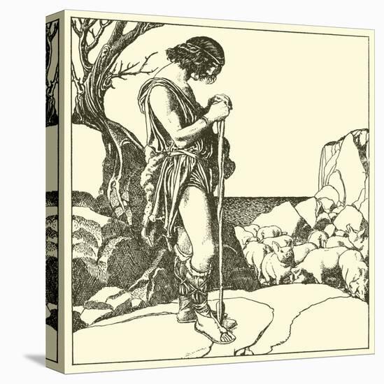 Stretched Canvas Print, , large