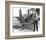 Howard Hughes H-1 Racer-null-Framed Art Print