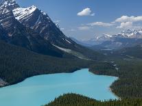 Bright Turquoise Colored Peyto Lake from the Bow Summit in Banff National Park, Canada.-Howard Newcomb-Photographic Print