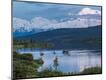 Photographic Print