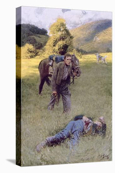 Stretched Canvas Print, , large
