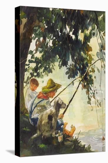 Stretched Canvas Print, , large