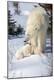 Premium Photographic Print