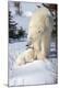 Premium Photographic Print