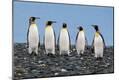 Premium Photographic Print