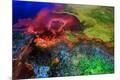 Premium Photographic Print