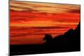 Premium Photographic Print