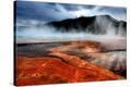 Stretched Canvas Print