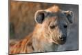 Premium Photographic Print