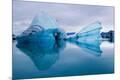 Premium Photographic Print